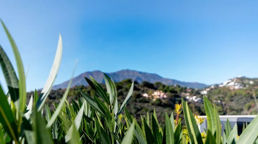 Apartamento de 4 dormitorios en Estepona, Spain No. 281 № 19