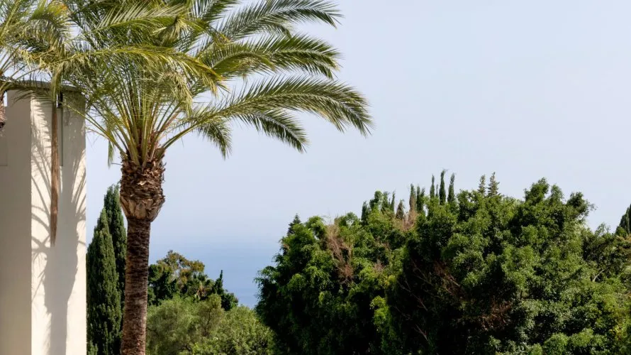 Apartamento de 3 dormitorios en Marbella, Spain No. 326 № 9