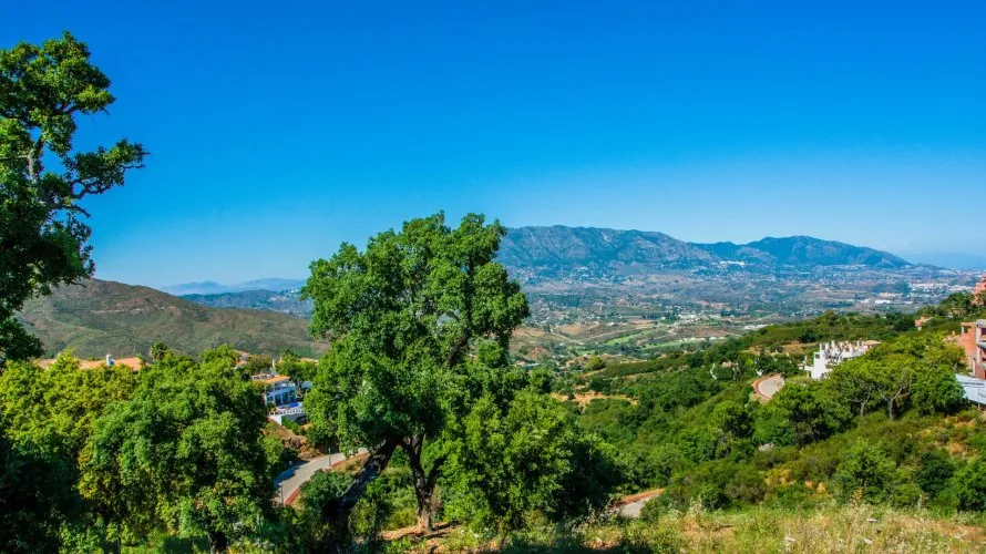 Villa de 4 dormitorios en Marbella, Spain No. 166 № 4