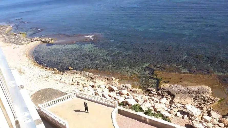 Apartamento de 4 dormitorios en Torrevieja, Spain No. 935 № 6