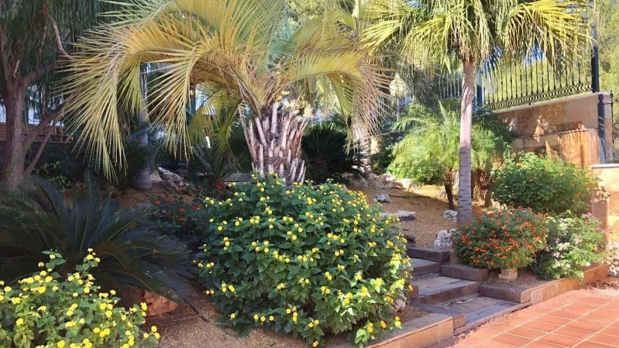 Villa de 6 dormitorios en El Palmar, España No. 1508 № 8