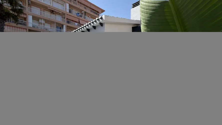 Villa de 4 dormitorios en Torrevieja, España No. 1686 № 12