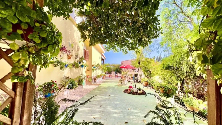 Villa de 3 dormitorios en Daya Vieja, España No. 1705 № 11
