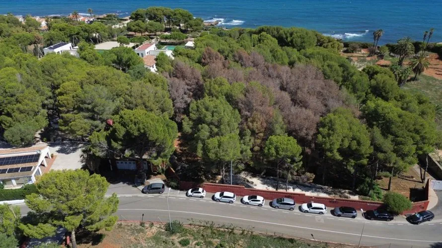 Villa de 330m² en Calasparra, España No. 1748 № 25