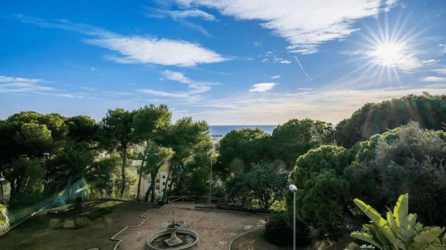 House de à Marbella, Spain No. 334 № 12