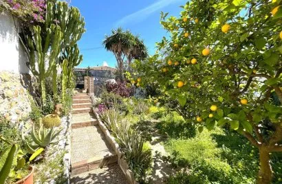 Villa de 4 chambres à Sotogrande, Spain No. 474