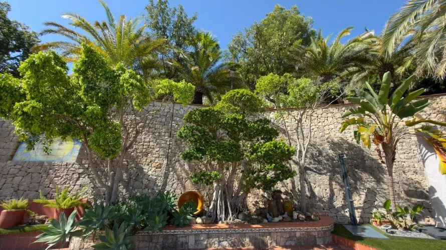 Villa de 4 chambres à La Pedrera, Espagne No. 1554 № 21