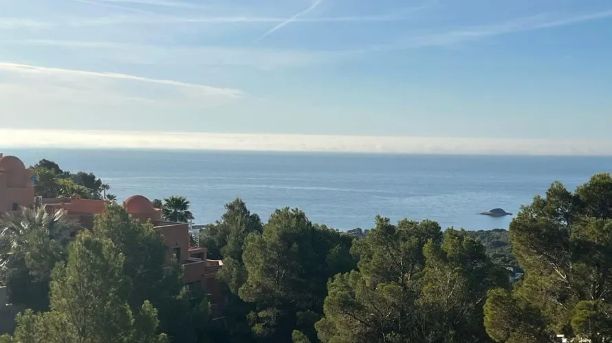 Villa de 5 chambres à Zona Altea Hills, Espagne No. 1425 № 4