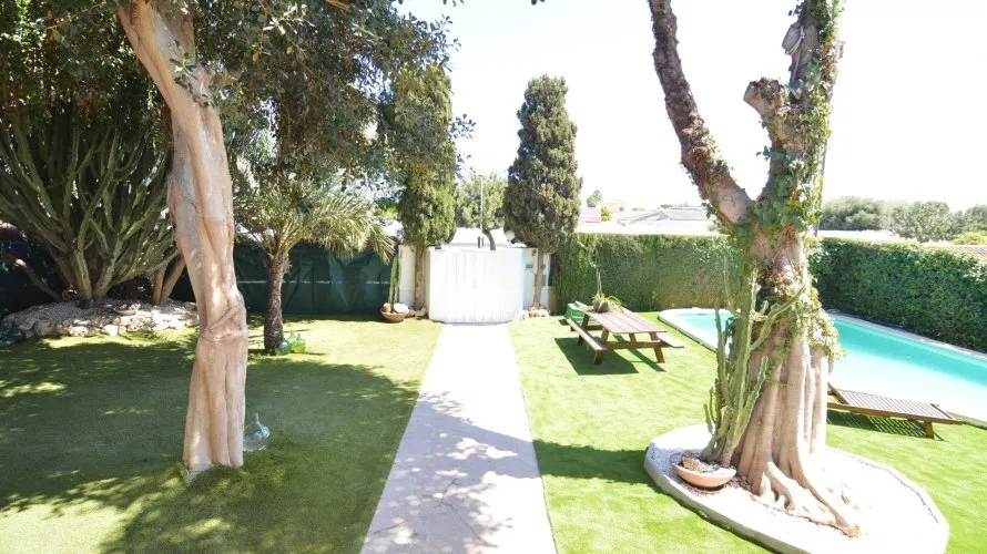 Villa de 4 chambres à Torrevieja, Espagne No. 931 № 7