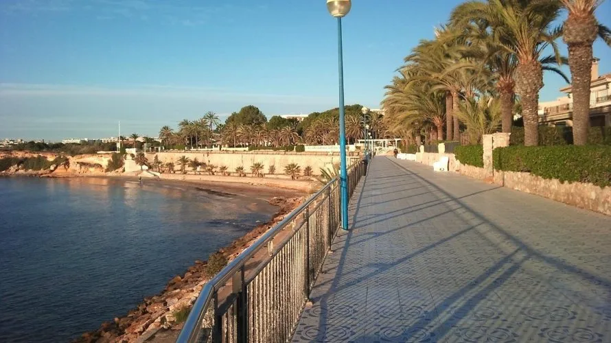 Villa de 4 chambres à Torrevieja, Espagne No. 1104 № 11