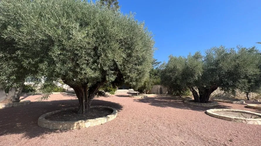 Villa de 236m² à Rojales, Espagne No. 1456 № 5