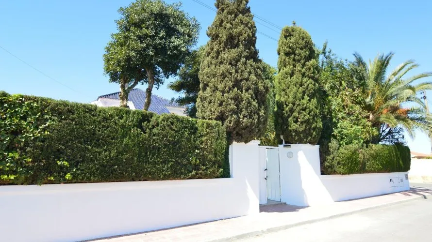 Villa de 4 chambres à Torrevieja, Espagne No. 931 № 5