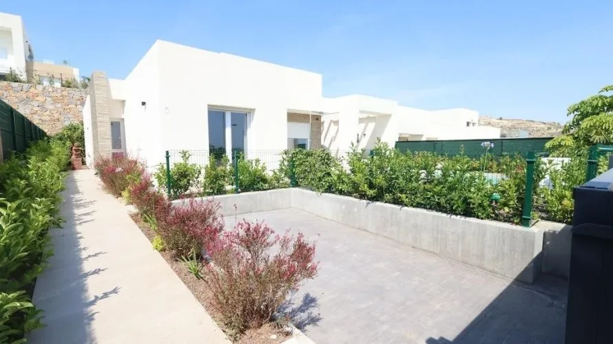 Villa de 3 chambres à Algorfa, Espagne No. 1549 № 17