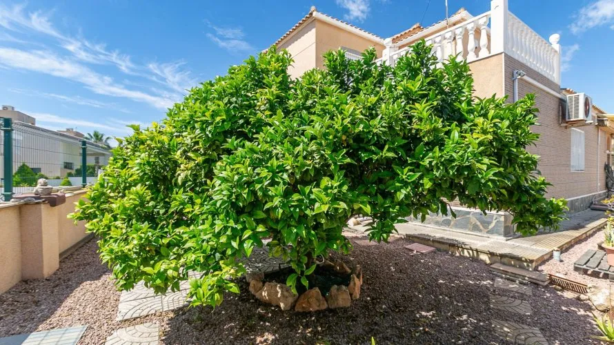 Villa de 158m² à Cabo Roig, Spain No. 1437 № 19