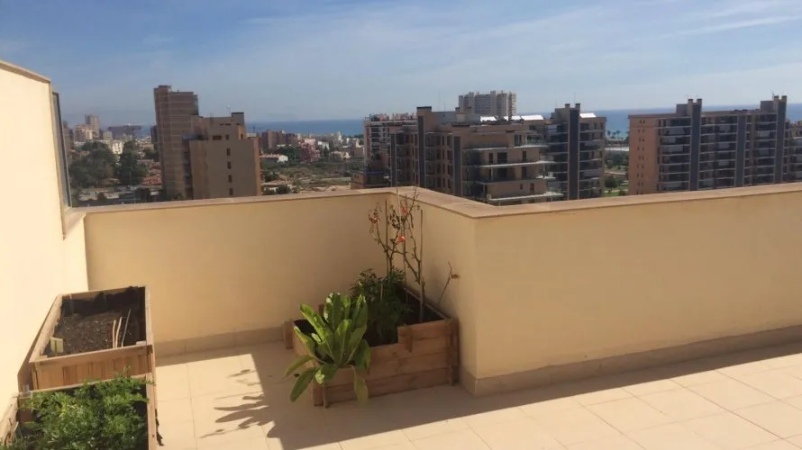 Penthouse de 4 chambres à Alicante, Espagne No. 1408 № 8