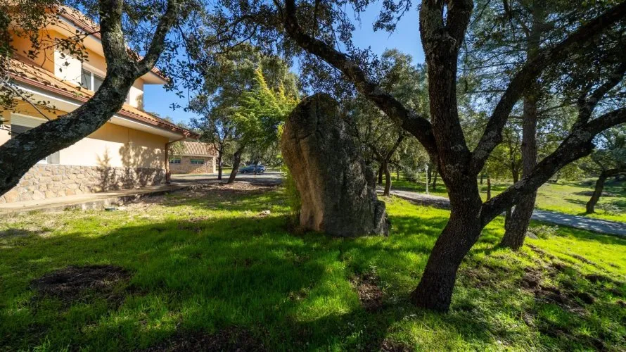 Villa de 8 chambres à Colmenarejo, Spain No. 1522 № 14