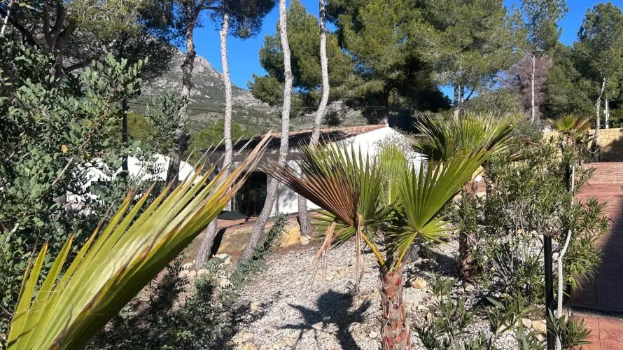 Hotel de 12 chambres à Finestrat, Espagne No. 965 № 9