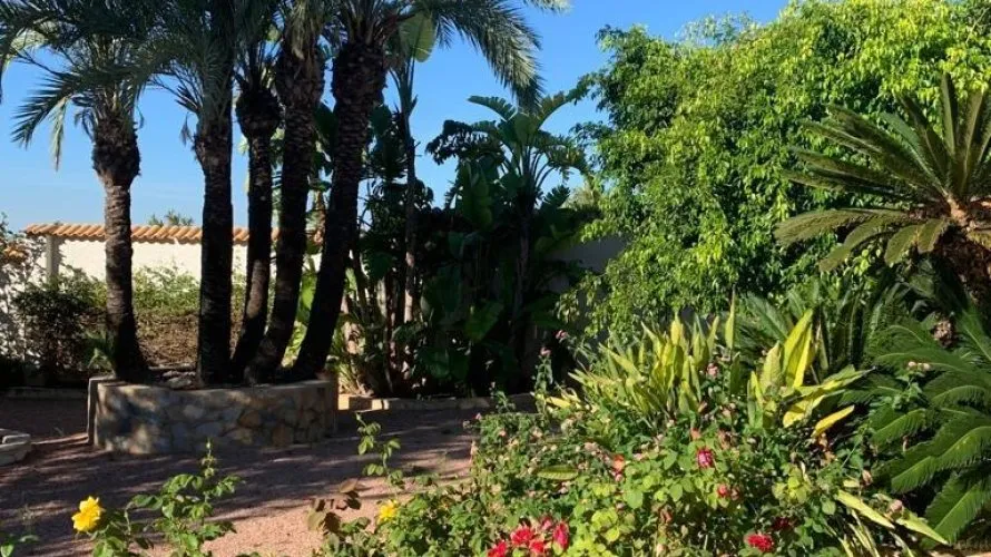 Villa de 236m² à Rojales, Espagne No. 1456 № 7