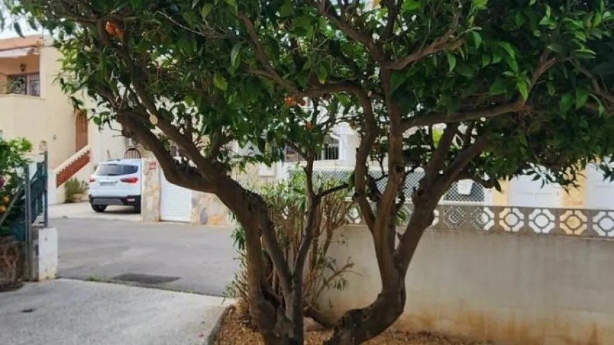 House de 3 chambres à Albir, Espagne No. 1420 № 11