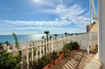 Apartment de 1 chambre à El Campello, Espagne No. 1776