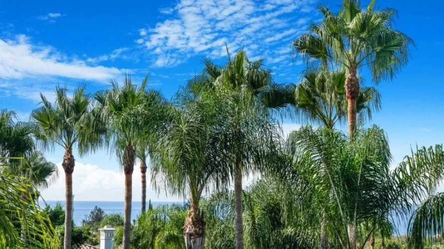 5 bedrooms villa for sale , Marbella, Spain No. 527 № 19