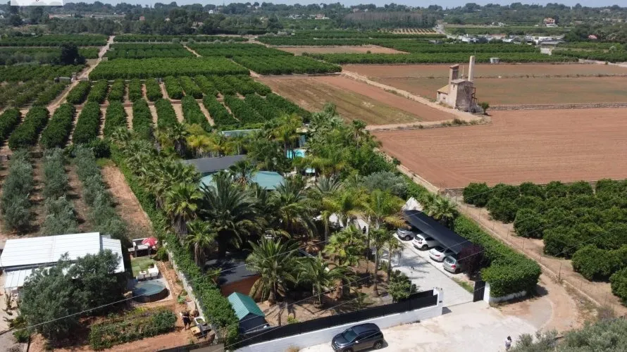 7 bedrooms apartment for sale , Betera, Spain No. 1483 № 26