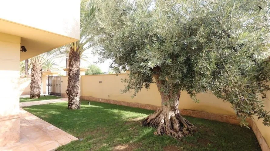 4 bedrooms apartment for sale, Cabo Roig, Spain No. 1320 № 26