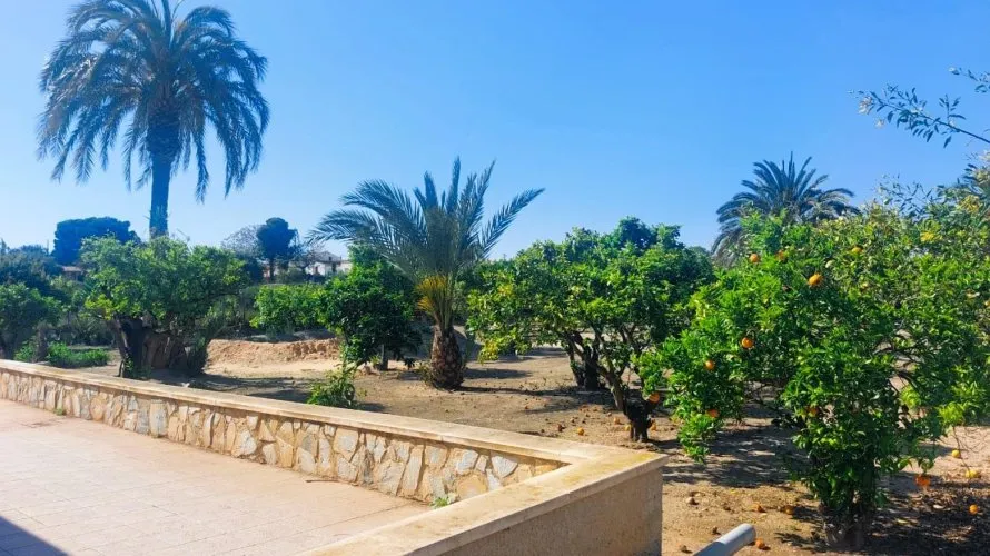 5 bedrooms house for sale , La Marina, Spain No. 1485 № 19